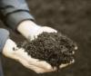 Gazon aanleggen met behulp van compost gras beter laten groeien met compost als bemesting