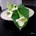 Twee eenvoudige bloemstukjes maken