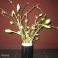 Bloemstuk met Franse tulpen - Haal de lente in huis