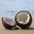 Geneeskrachtige kokos