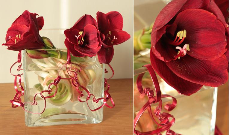 Bloemstuk valentijn: Amaryllissen met harten schakelketting Bloemstuk valentijn: Amaryllissen met harten schakelketting