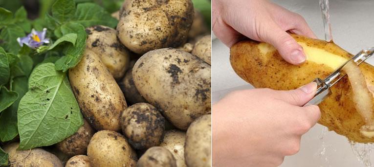 Verschillende soorten aardappelen