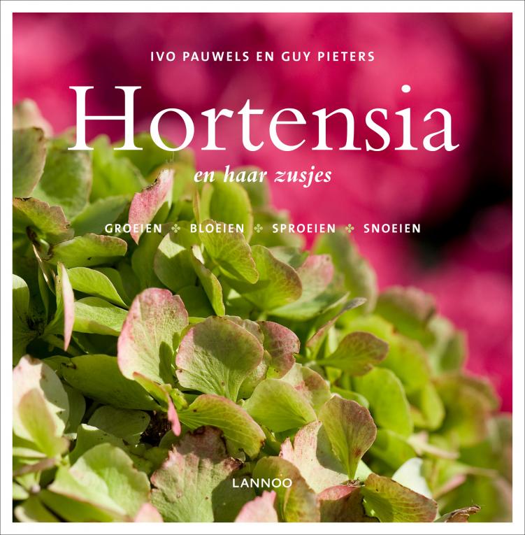 hortensia en haar zusjes - hortensia tips