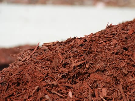 Fijnere mulch om bloemen en planten te mulchen