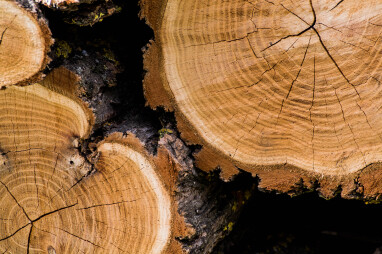 Natuurlijke barsten en scheuren in hout