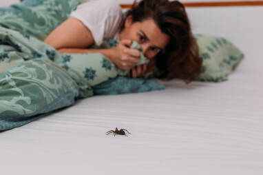 Angst voor spinnen