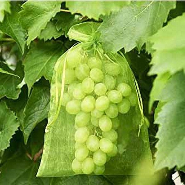 Botra Xtra 25 fruithoezen met trekkoord - 20 x 30 cm - Botra Xtra 25 ...