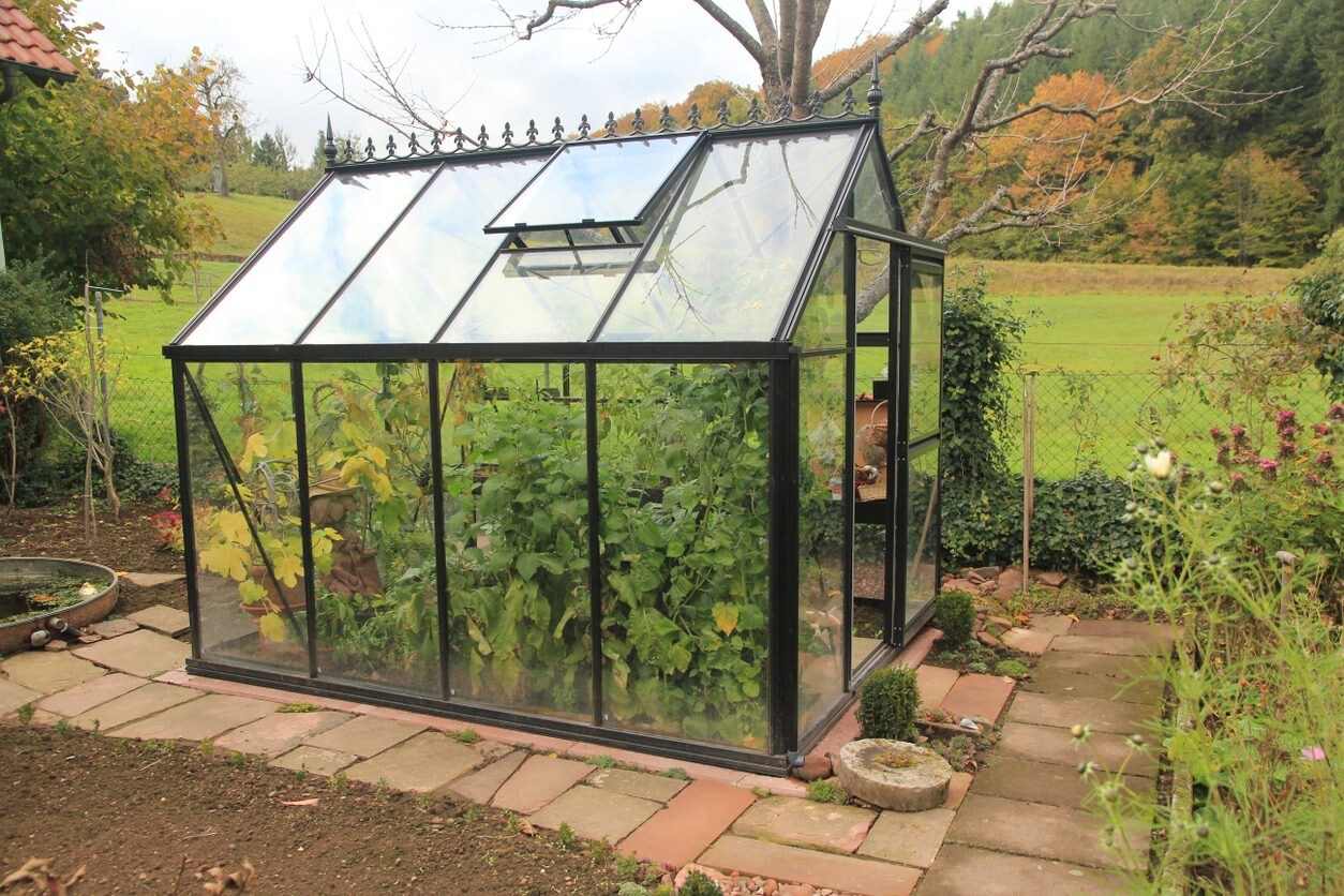 Janssens Alu Eos Junior - 7,32 m² - Janssens serre assortiment - 0