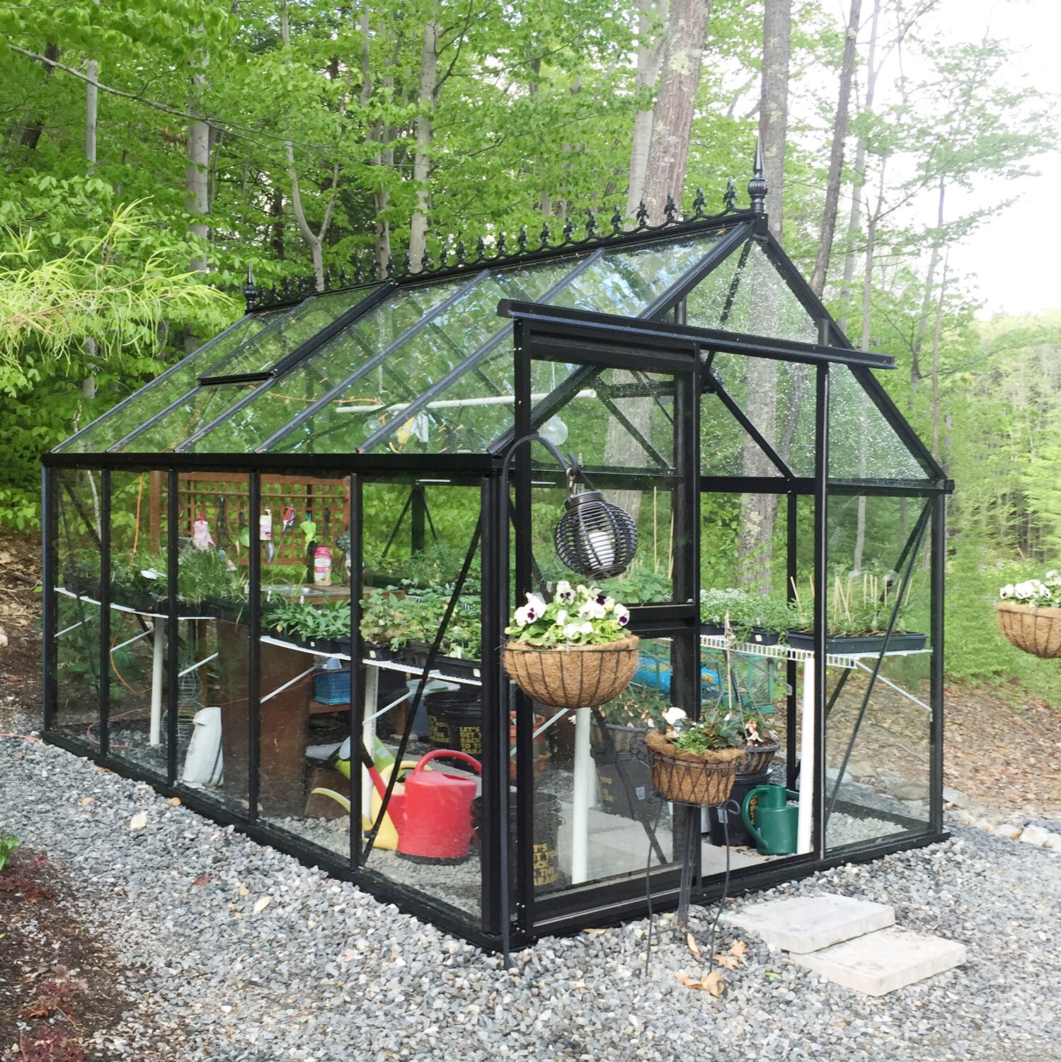 Janssens serre Eos Junior  - 10,8 m² - Janssens serres online kopen - 0