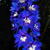 Delphinium EXCALIBUR 'Dark Blue White Bee'