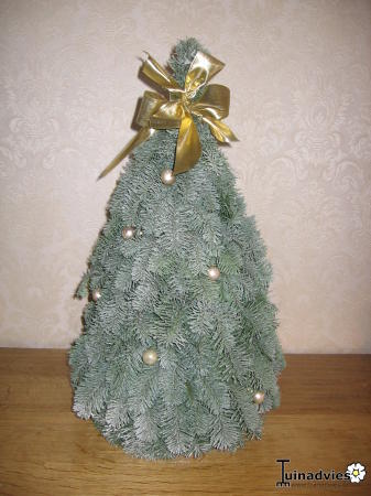 Ongekend Kerstboom van 50 cm hoog zelf maken KI-97