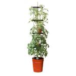 Tomatentoren met bewateringssysteem 150 cm - rood