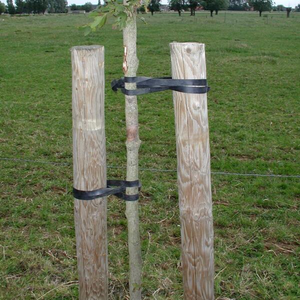  - Tree-fix boombinder 50 cm