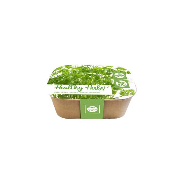  - Box Healthy Herb peterselie