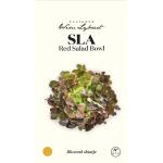 Sla Red Salad Bowl - zaaigoed Wim Lybaert