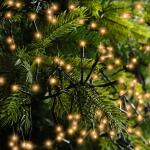 Kerstverlichting Cluster Twinkle 1512 LED klassiek warm - 14 m zwart