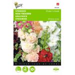 Alcea rosea Chaters mix