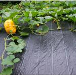 Gronddoek onkruidwerend 2 x 5 m