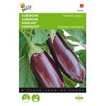 Aubergine lange Violette - Solanum melongena