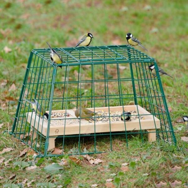 - Beschermkooi voor kleine tuinvogels