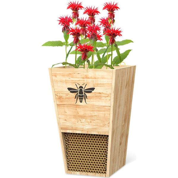  - Bijenhuis en bloembak: 2 in 1