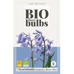 Bio Hyacinth hispanica blauw - bio flowerbulbs (7 stuks)