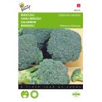 Broccoli Groene Calabria - Brassica oleracea