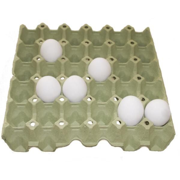 Eierdoos 30 eieren Webshop Tuinadvies