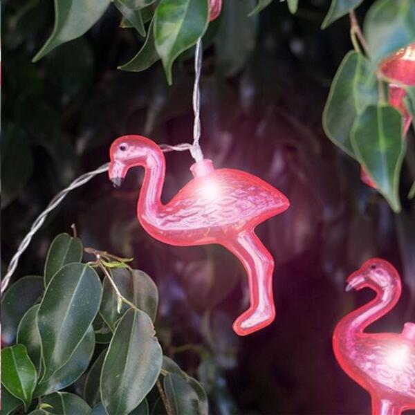  - Flamingo lichtslinger