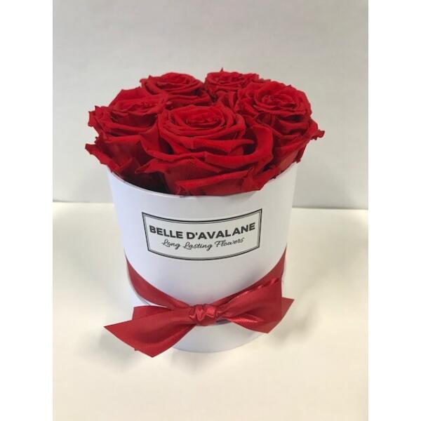 Flowerbox rond wit Ø 12 cm – Rood