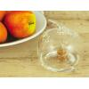 Fruitvliegenval decoratief - appel in glas