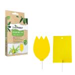 GreenProtect insectenvallen - gele lijmplaatjes  (10 stuks)