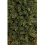 Triumph Tree kerstboom kunststof Forest Frosted groen - 230 cm