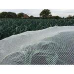 Insectengaas / klimaatdoek - 2 x 10 m