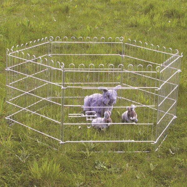 patroon kunst Zachte voeten Buitenren voor konijnen of cavias - 1 m² - Webshop - Tuinadvies