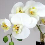 Kunstplant Phalaenopsis orchidee 1 tak - wit/geel
