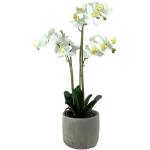 Kunstplant Phalaenopsis orchidee 3 takken - wit/geel