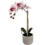 Kunstplant Phalaenopsis orchidee 1 tak - wit/roze