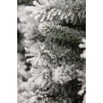 Kunststof kerstboom Chandler slim frosted Black Box - 185 cm