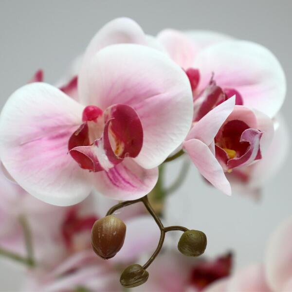 Kuntstplant orchidee 2 takken - wit/roze