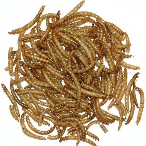  - Meelwormen gedroogd - 140 g