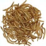Gedroogde meelwormen - 100 gram