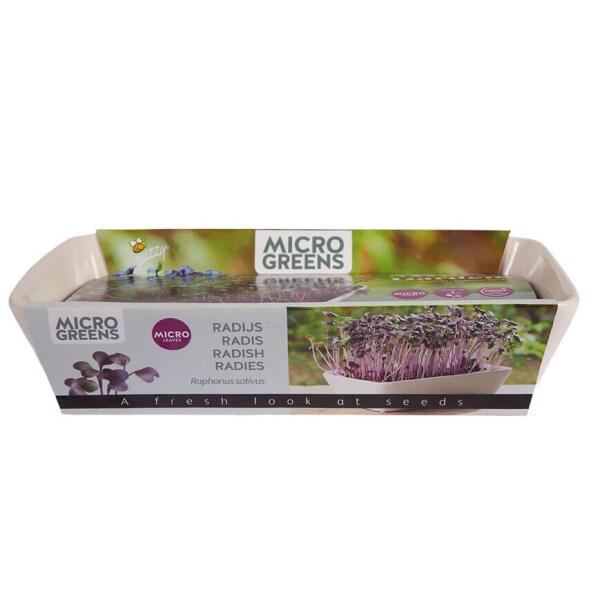  - Micro garden Daikon radijs
