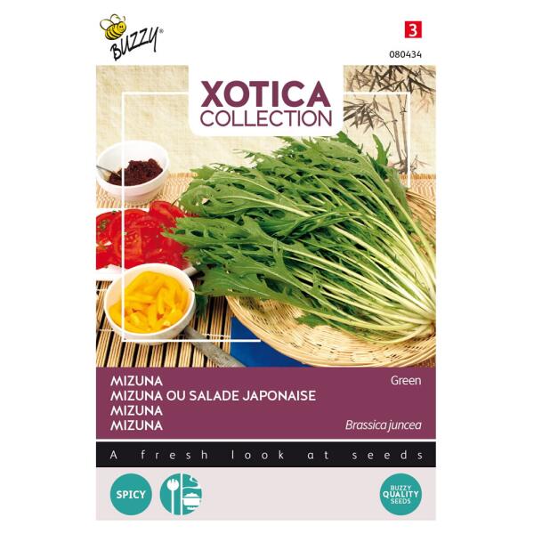 Mizuna - Japanse salade - exoot
