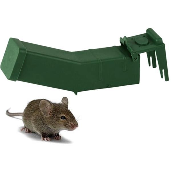 Muis levend vangen