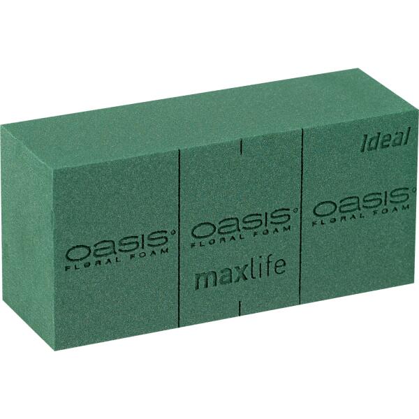  - Oasis 'Ideal' - 23 x 11 x 8 cm