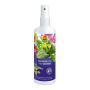 Compo orchideeën spray - 250 ml