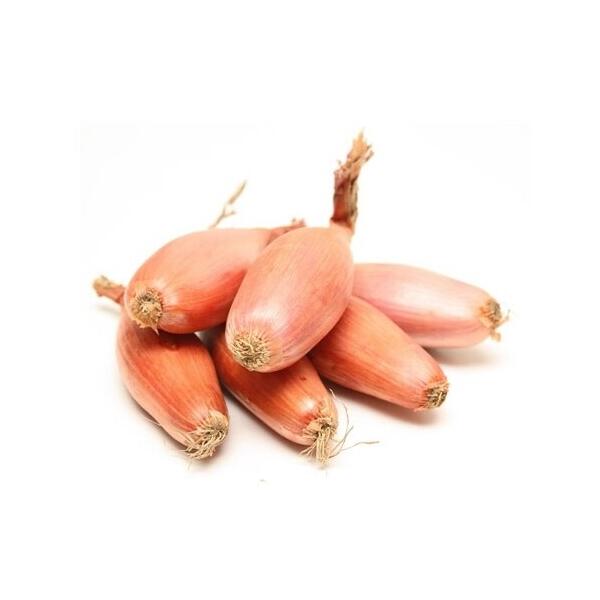 Pootgoed sjalotten Mikor 500 g