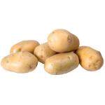 Pootgoed aardappelen Bintje France - 3 kg