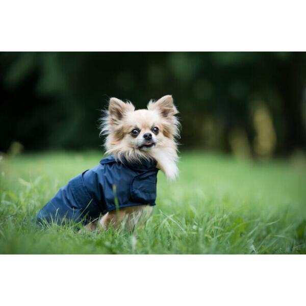 Regenjas voor honden - blauw